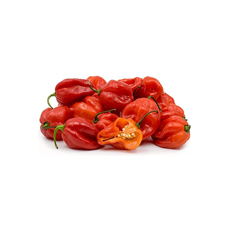 Fresh Scotch Bonnet Peppers